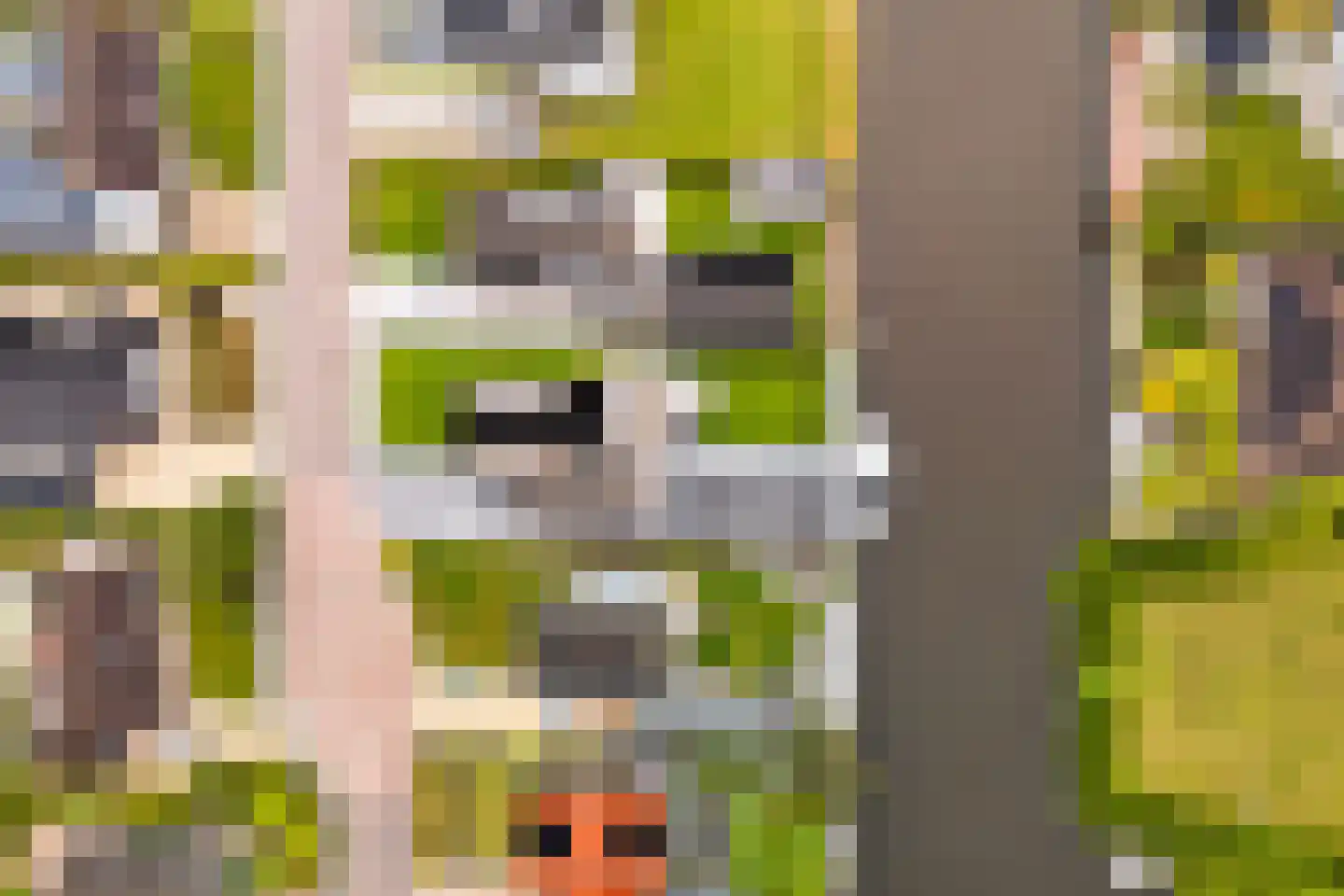 Concordiastrjitte 38 Burdaard thumbnail 71