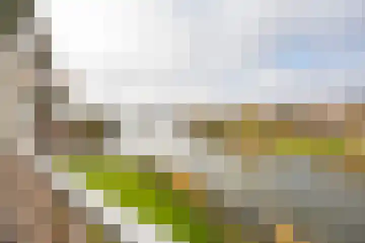 Concordiaweg 129 Gorinchem thumbnail 13