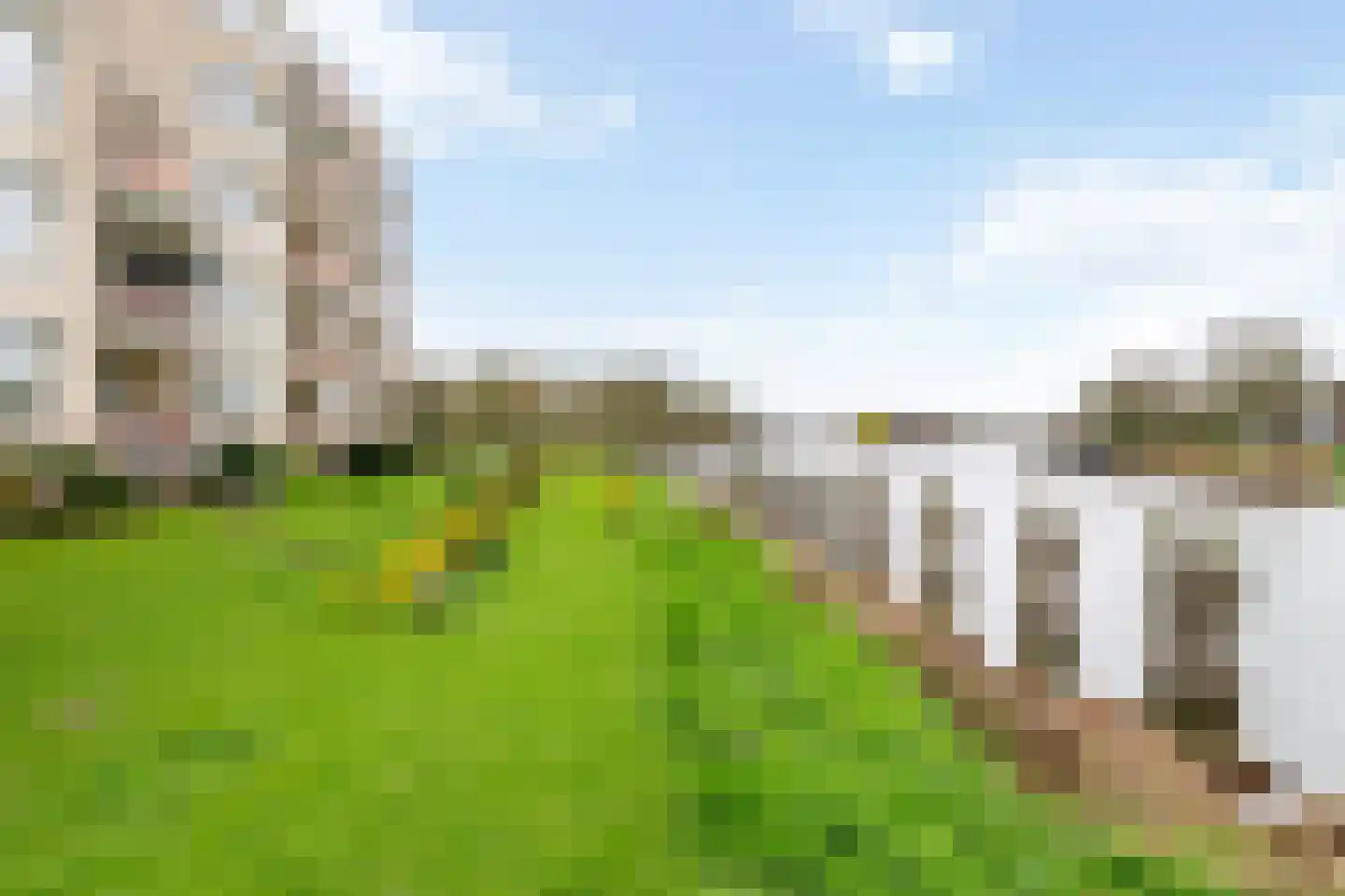 Concordiaweg 137 Gorinchem thumbnail 13