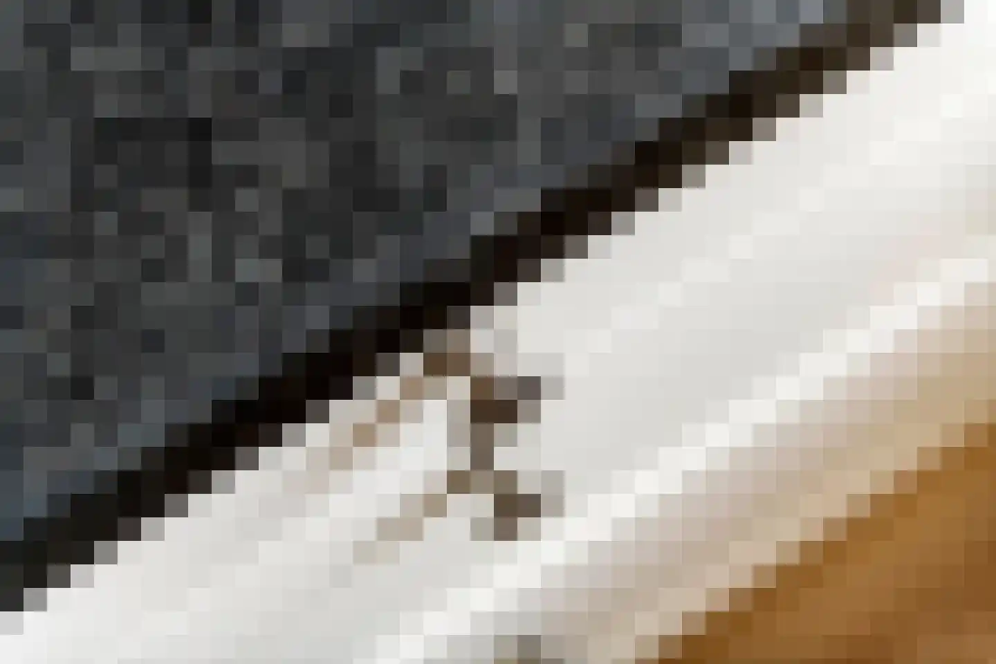 Concordiaweg 137 Gorinchem thumbnail 31