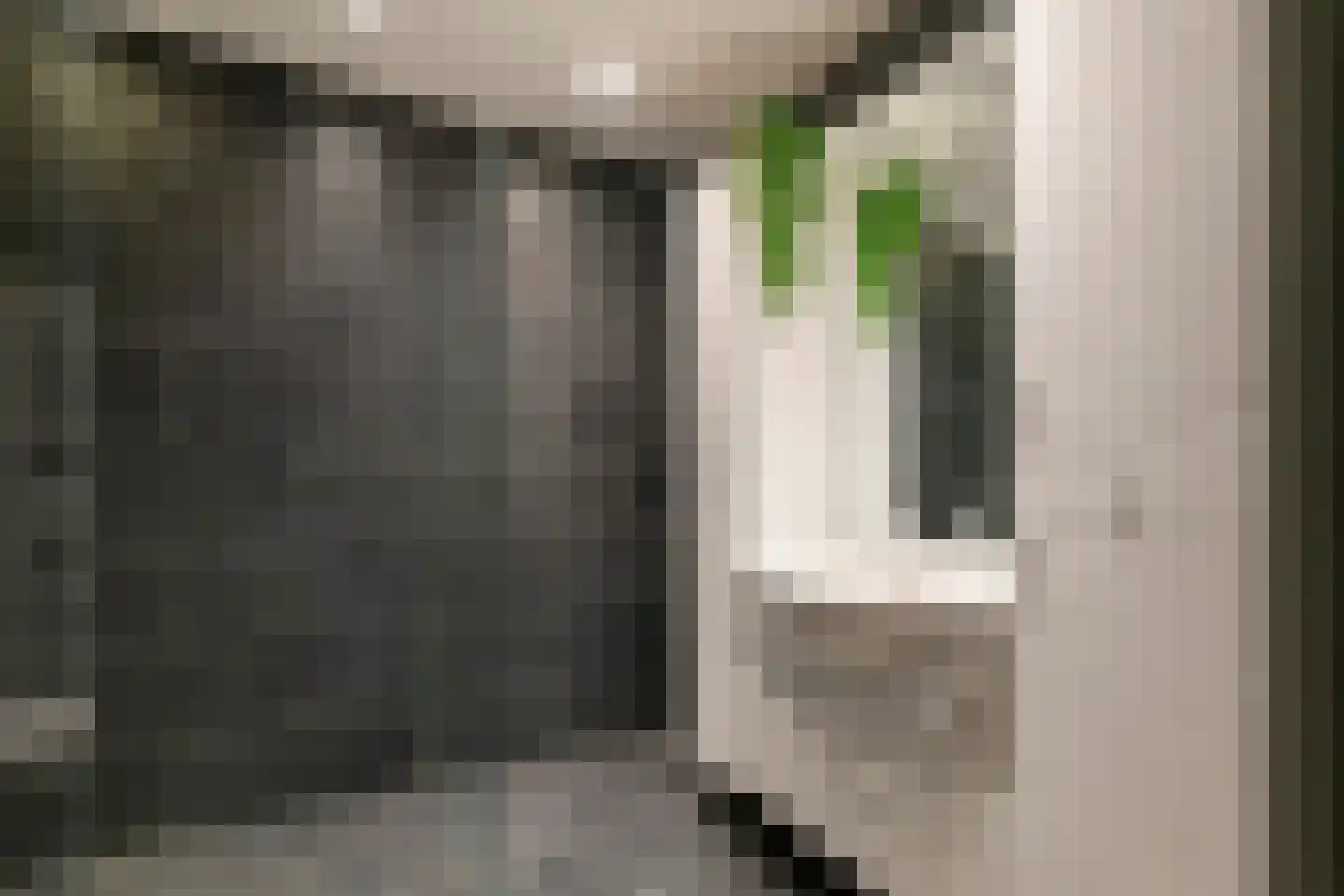 Concordiaweg 137 Gorinchem thumbnail 36