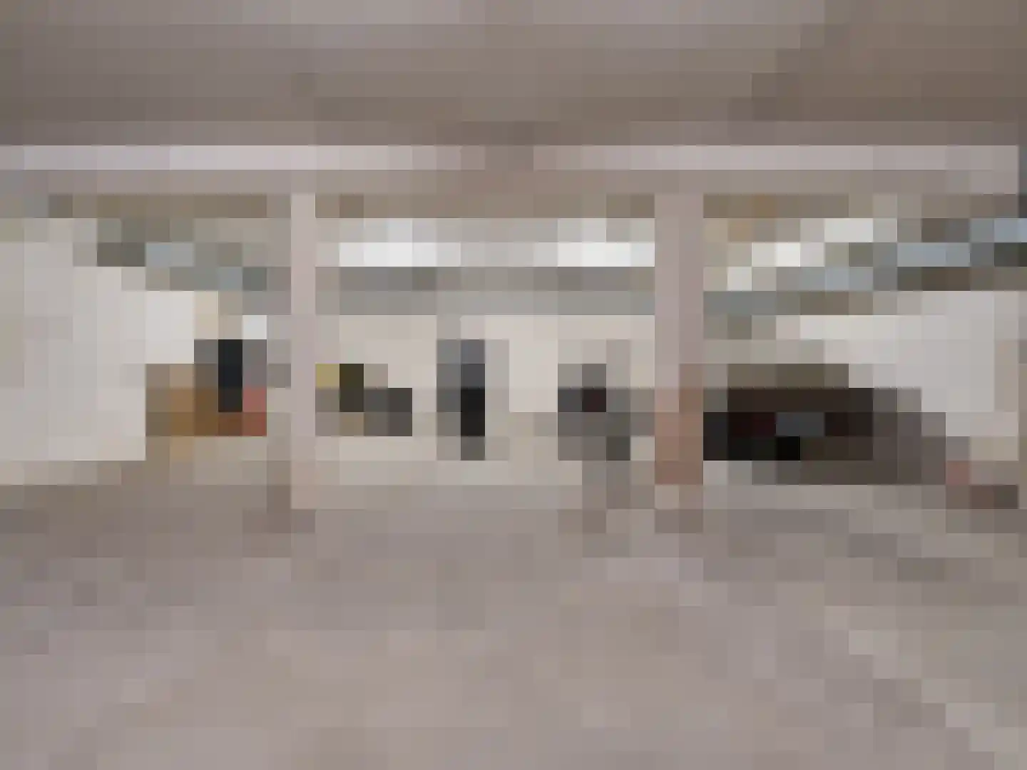 Concordiaweg 145 Gorinchem thumbnail 32