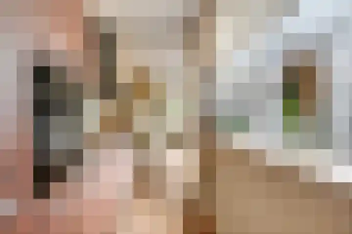 Concordiaweg 25 Gorinchem thumbnail 12