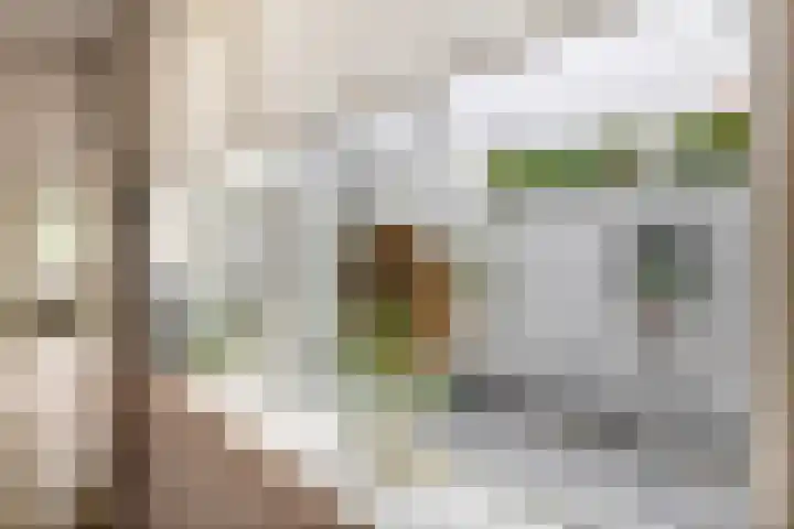 Concordiaweg 25 Gorinchem thumbnail 13