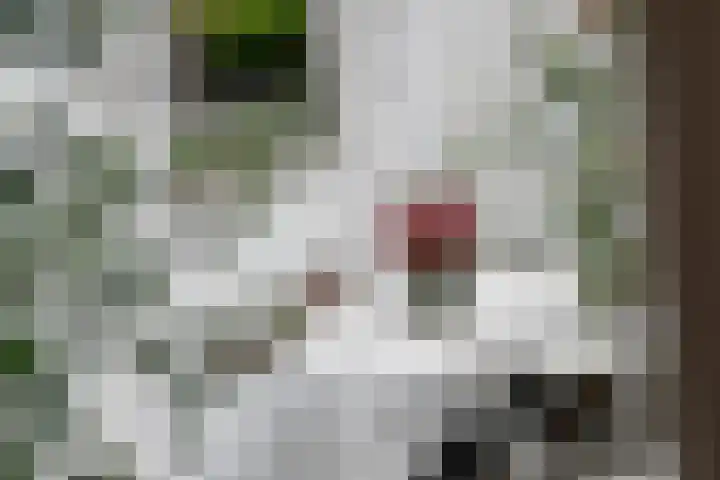 Concordiaweg 25 Gorinchem thumbnail 14