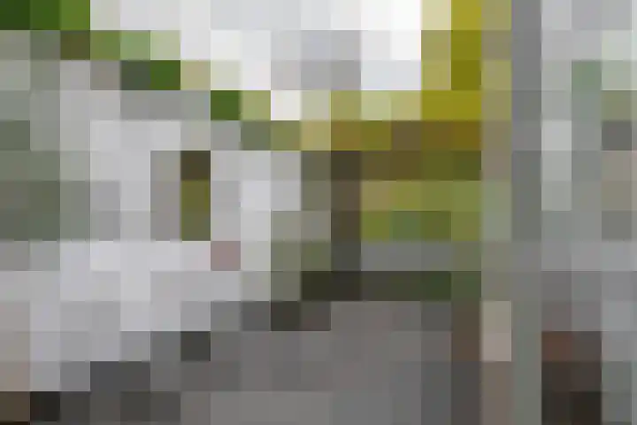 Concordiaweg 25 Gorinchem thumbnail 15