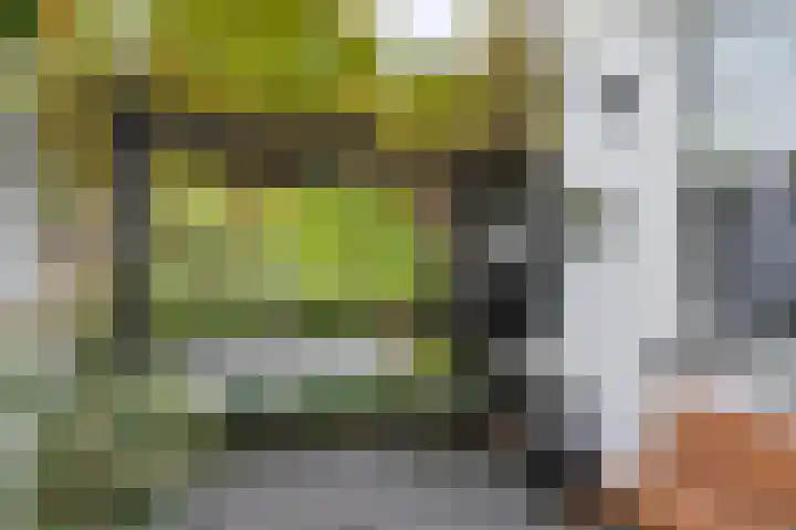 Concordiaweg 25 Gorinchem thumbnail 16