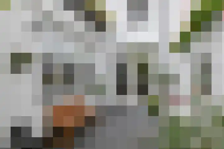 Concordiaweg 25 Gorinchem thumbnail 18