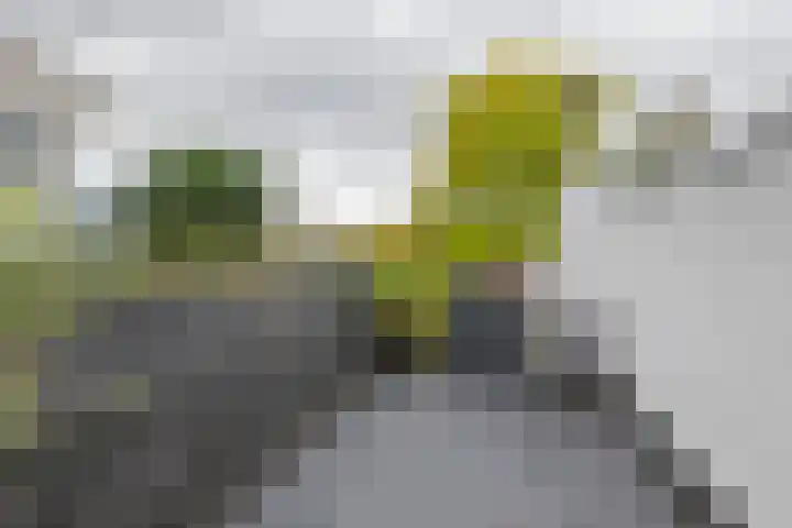 Concordiaweg 25 Gorinchem thumbnail 26