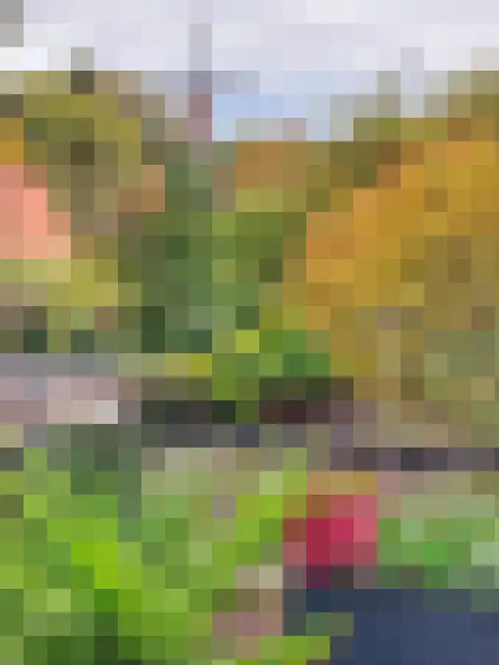 Concordiaweg 25 Gorinchem thumbnail 27