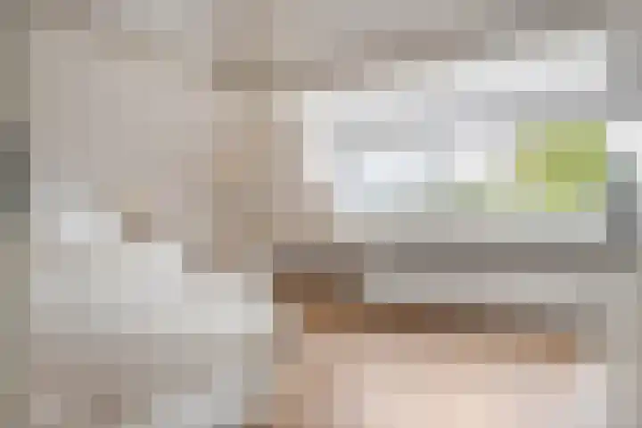 Concordiaweg 25 Gorinchem thumbnail 33