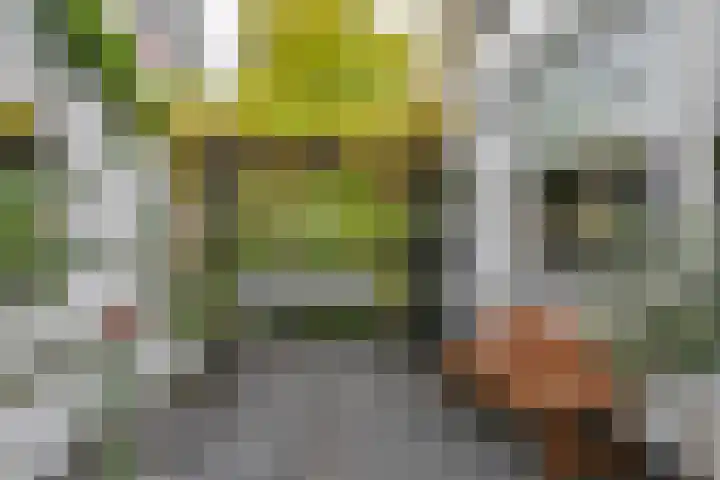 Concordiaweg 25 Gorinchem thumbnail 4