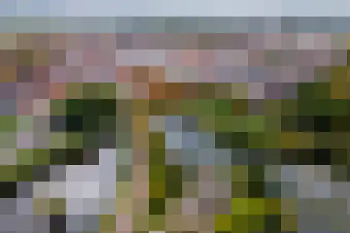 Concordiaweg 25 Gorinchem thumbnail 40