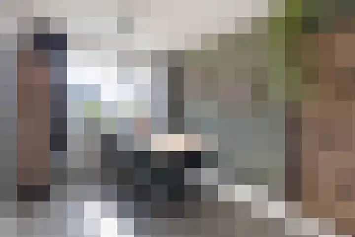 Concourslaan 28 Buitenpost thumbnail 13