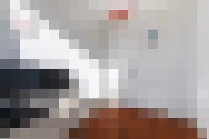 Concourslaan 28 Buitenpost thumbnail 27