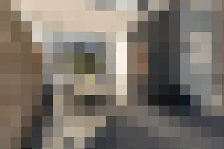 Concourslaan 28 Buitenpost thumbnail 38