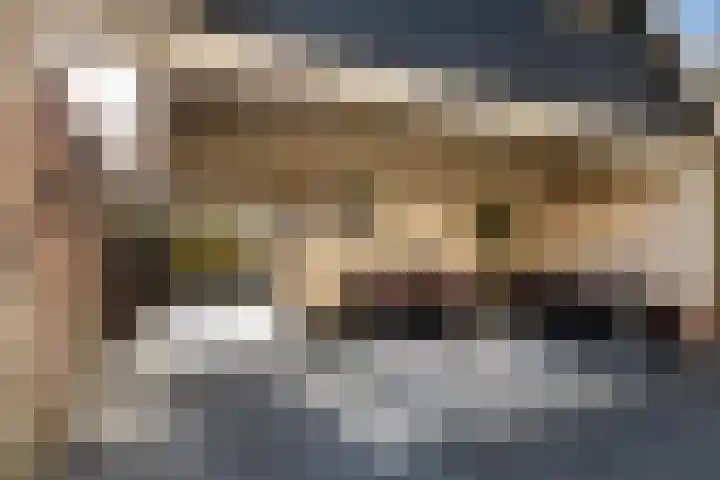 Concourslaan 28 Buitenpost thumbnail 42