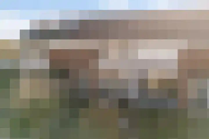 Concourslaan 28 Buitenpost thumbnail 45