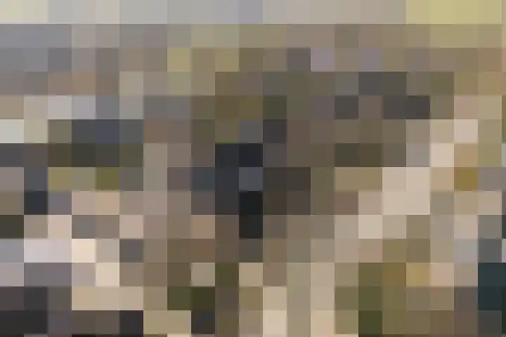 Concourslaan 28 Buitenpost thumbnail 51