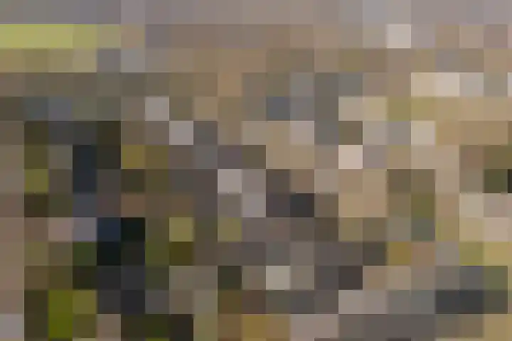 Concourslaan 28 Buitenpost thumbnail 53