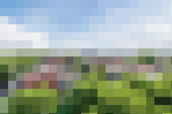 Concourslaan 41 Dronten thumbnail 22