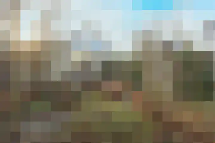 Concourslaan 41 Dronten thumbnail 33
