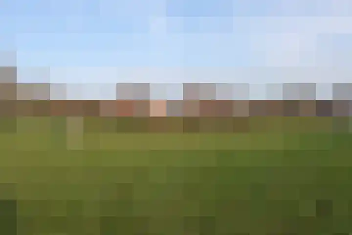Concourslaan 41 Dronten thumbnail 36