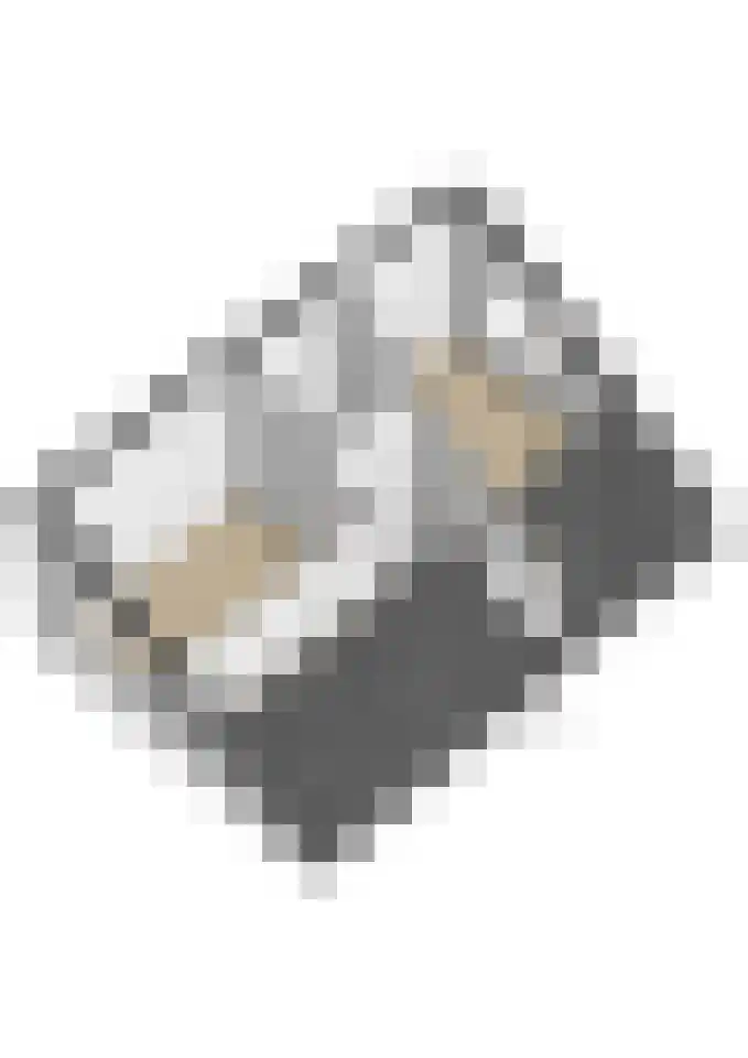 Concourslaan 41 Dronten thumbnail 41