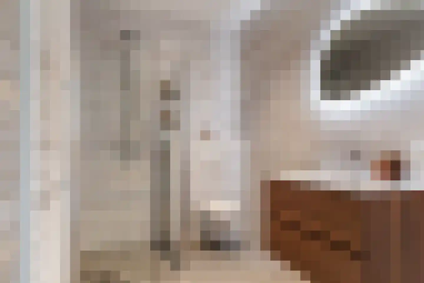 Concourslaan 93 Hoofddorp thumbnail 32