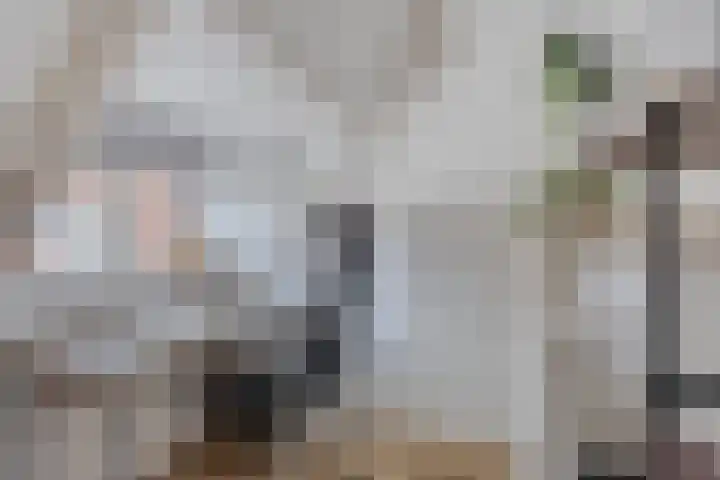 Condensatorstraat 12 Eindhoven thumbnail 22