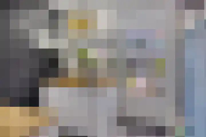 Condensatorstraat 12 Eindhoven thumbnail 27