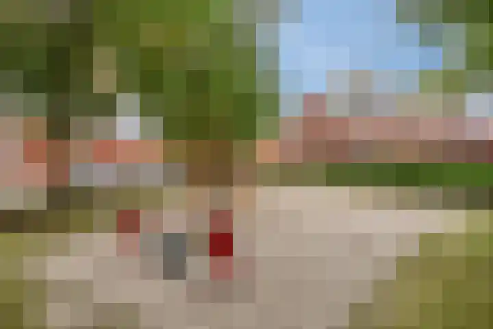 Condensatorstraat 12 Eindhoven thumbnail 32