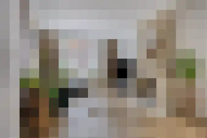 Condensatorstraat 12 Eindhoven thumbnail 6