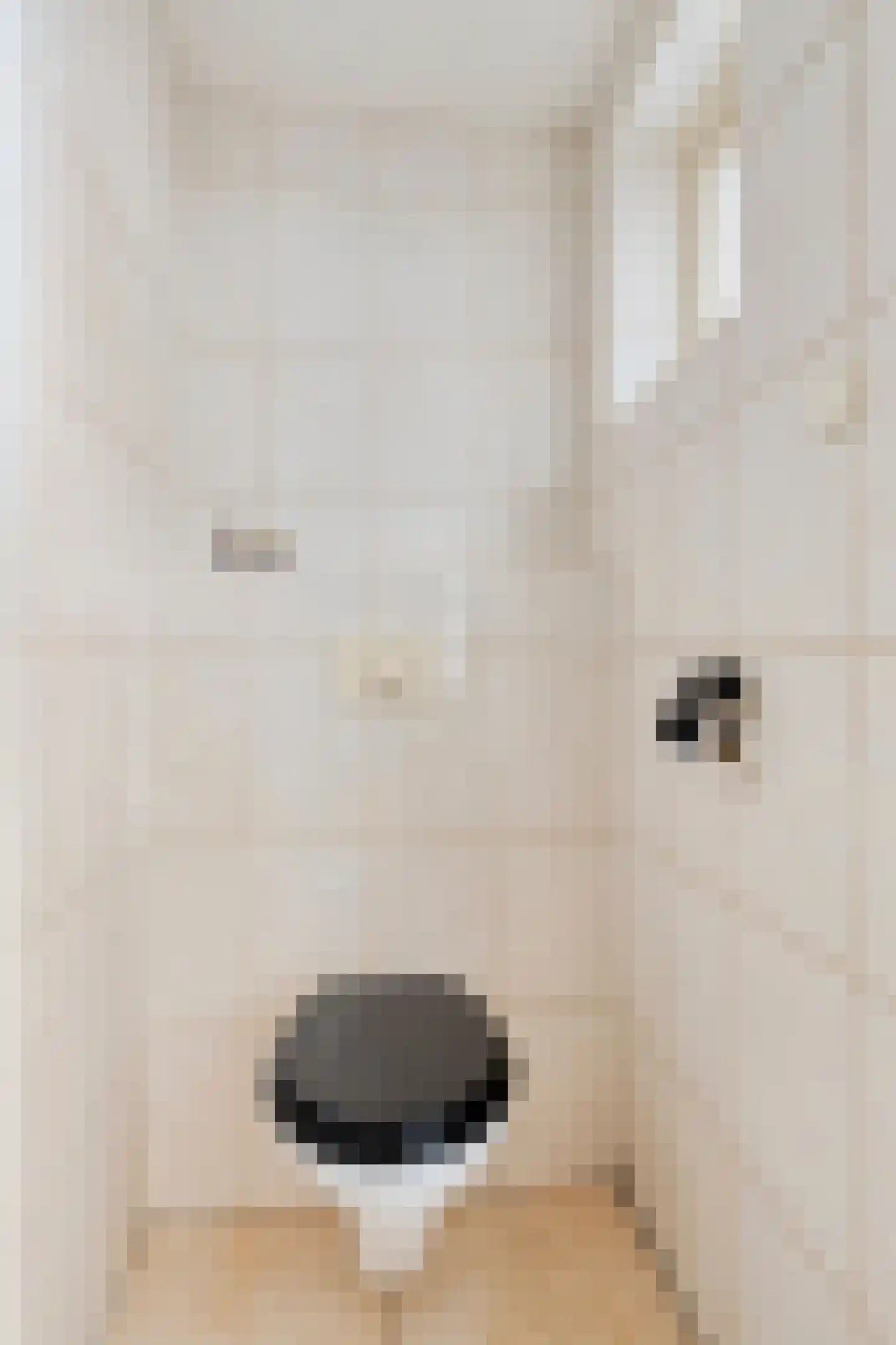 Condensatorstraat 14 Eindhoven thumbnail 17