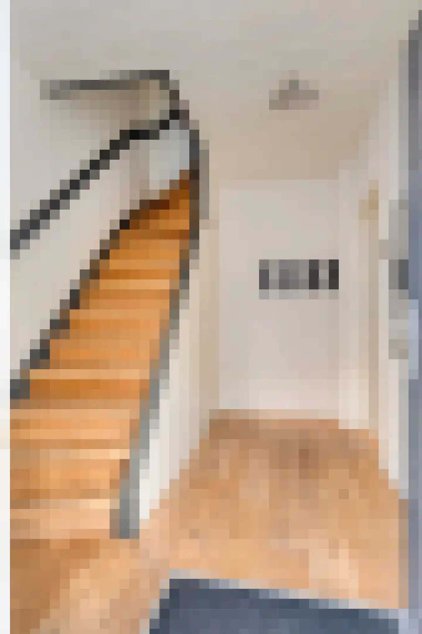 Condensatorstraat 14 Eindhoven thumbnail 18
