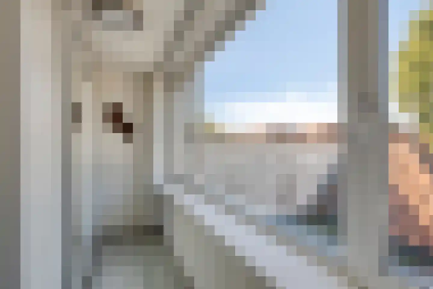 Condensatorstraat 14 Eindhoven thumbnail 23