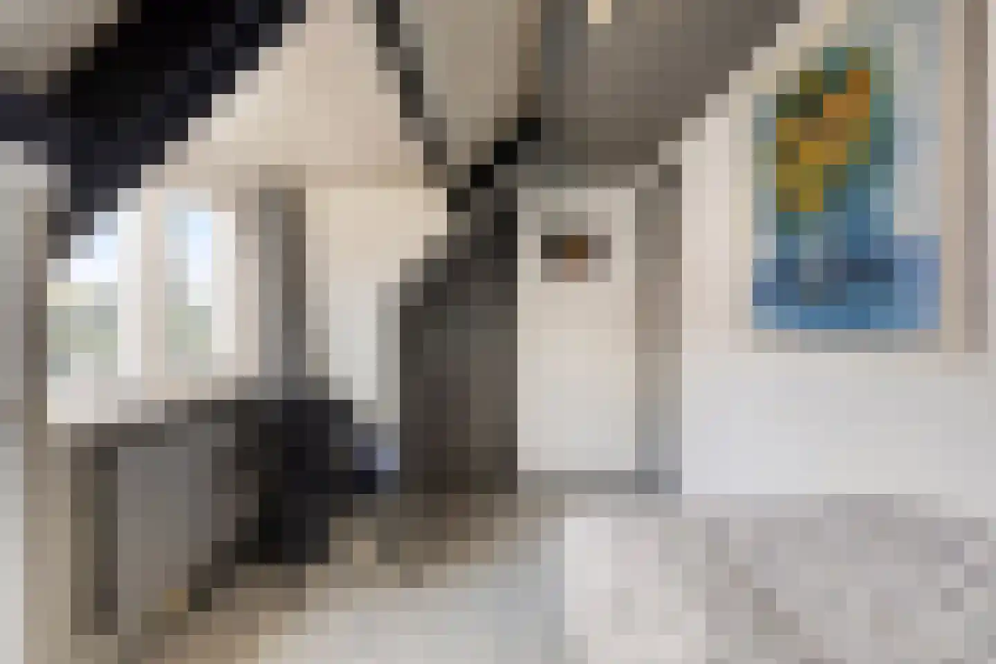 Condensatorstraat 14 Eindhoven thumbnail 29
