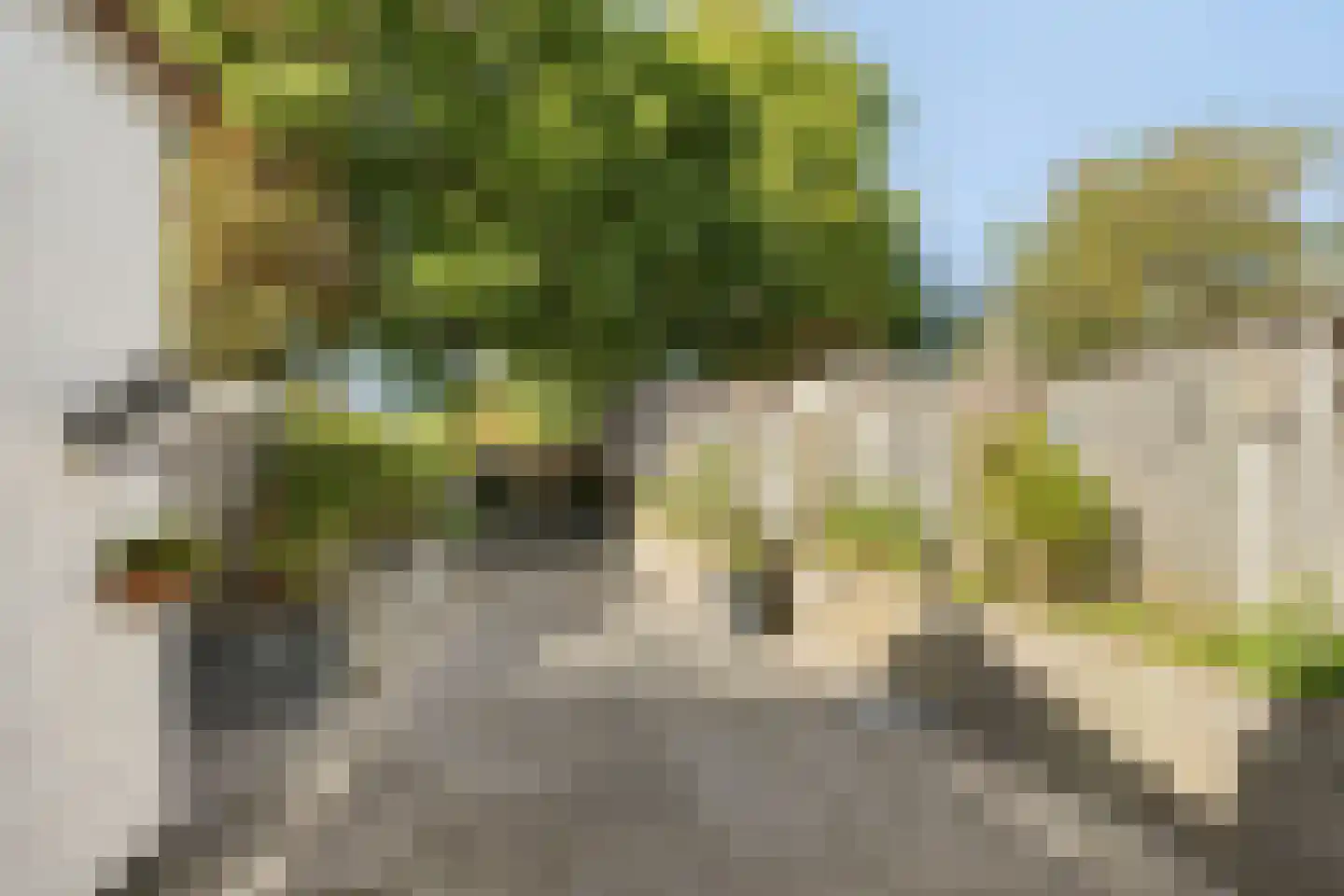 Condensatorstraat 14 Eindhoven thumbnail 32