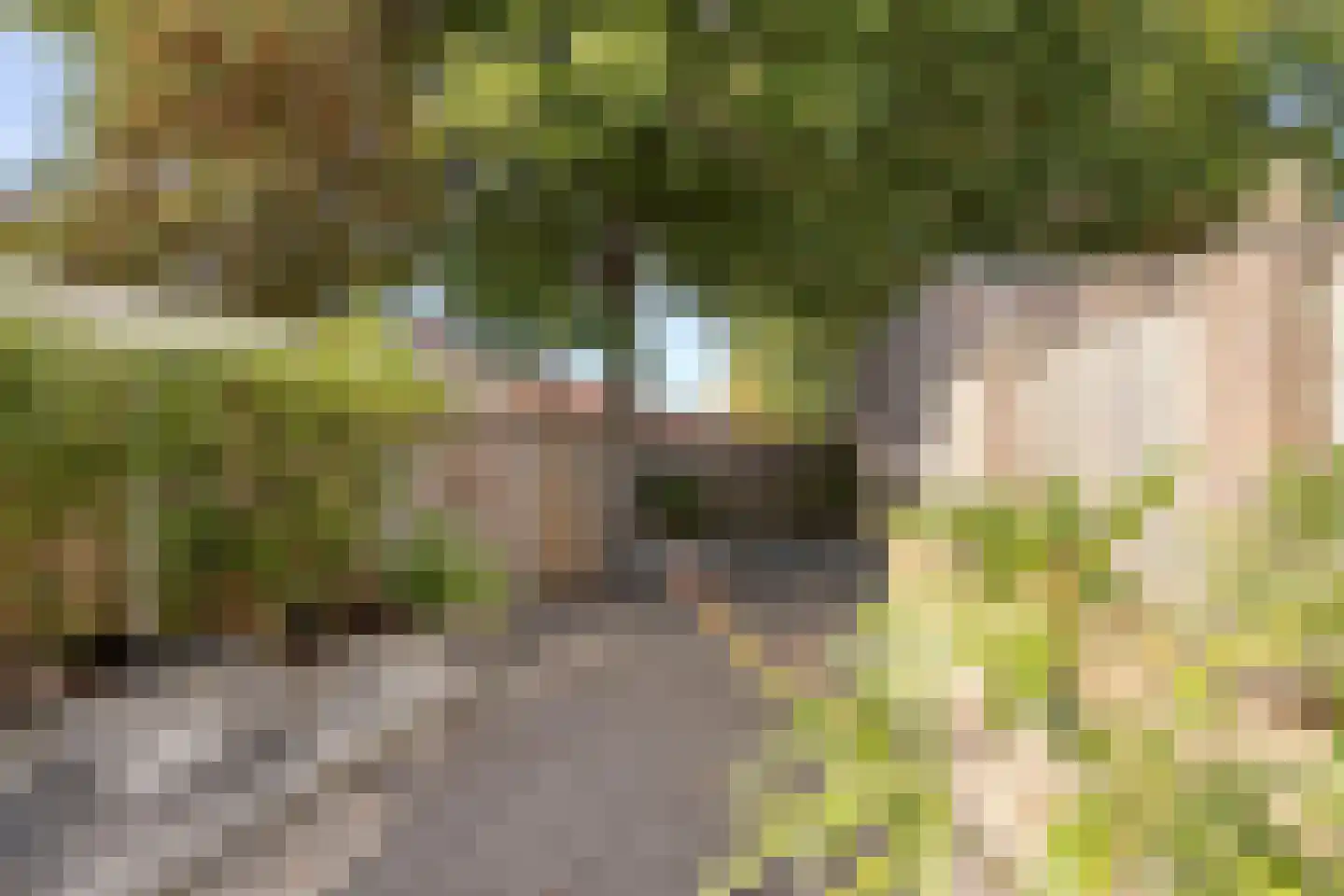 Condensatorstraat 14 Eindhoven thumbnail 33