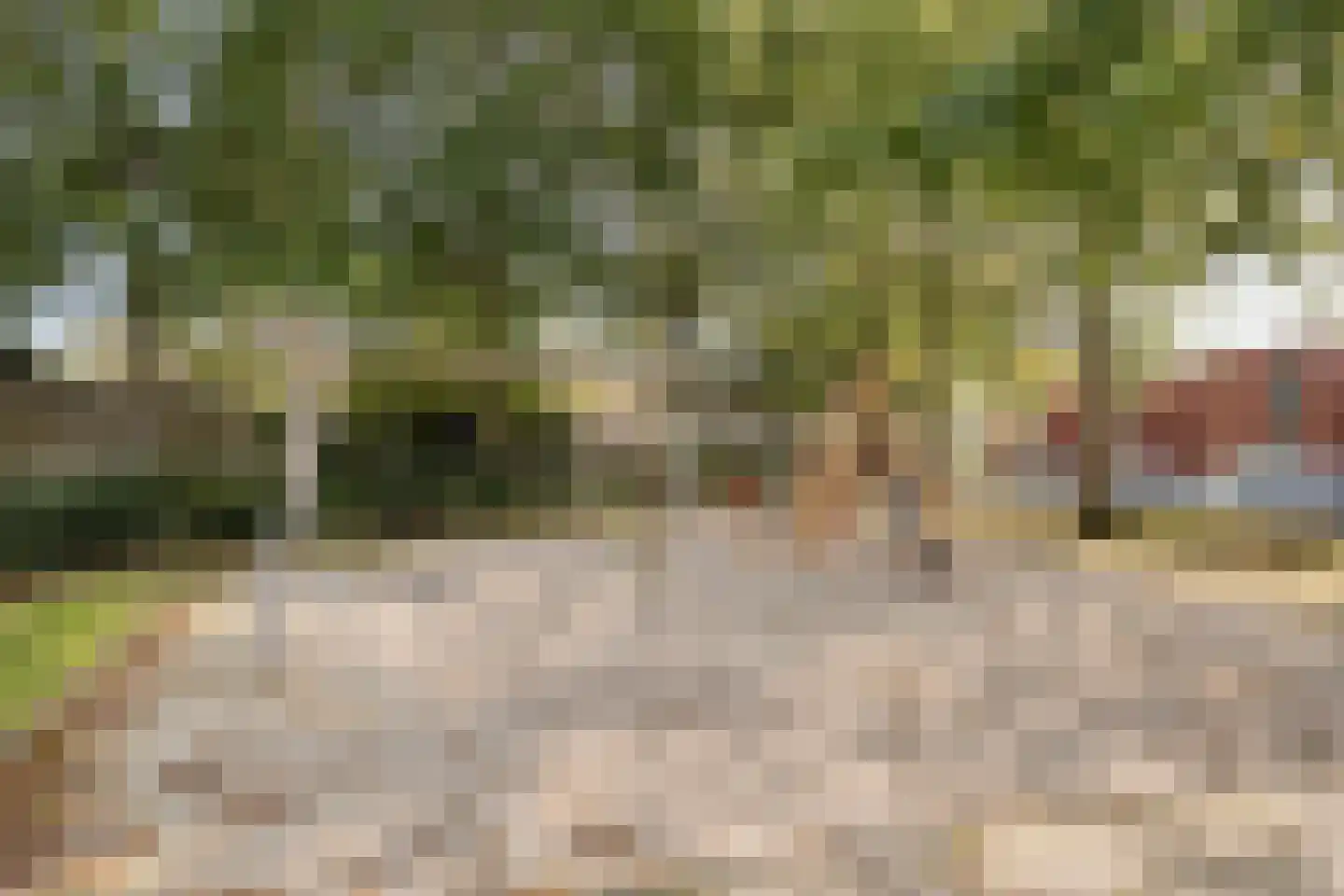 Condensatorstraat 14 Eindhoven thumbnail 37