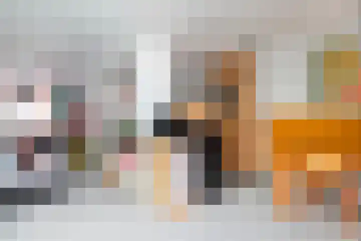 Condensatorstraat 5 Eindhoven thumbnail 15