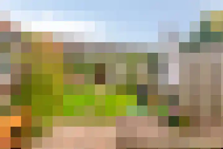 Condensatorstraat 5 Eindhoven thumbnail 32