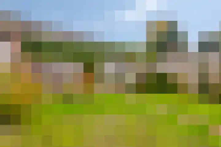 Condensatorstraat 5 Eindhoven thumbnail 33