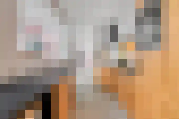 Condensatorstraat 5 Eindhoven thumbnail 4