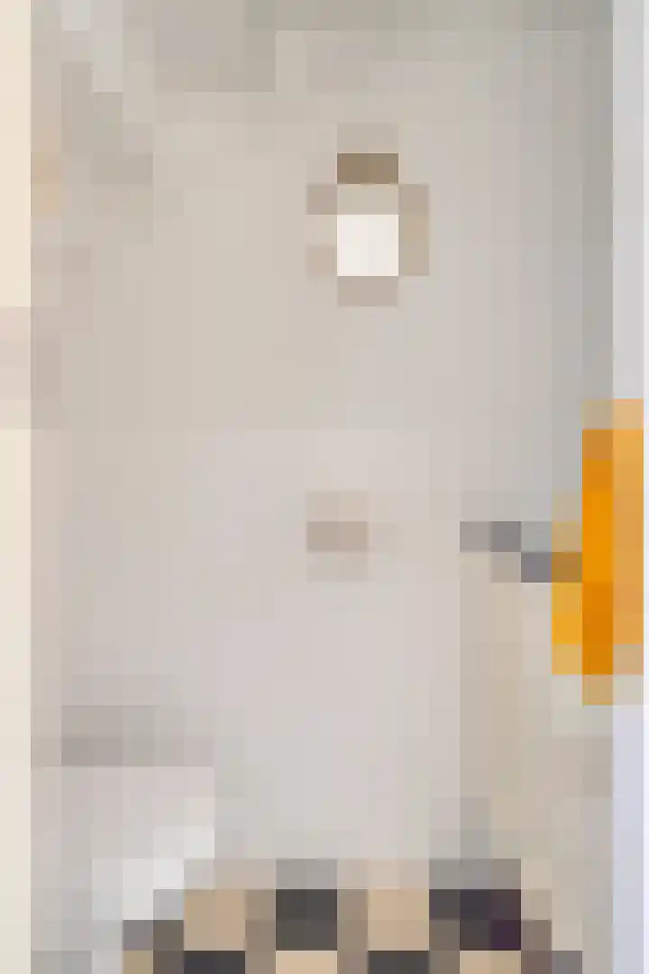 Condensatorstraat 5 Eindhoven thumbnail 9