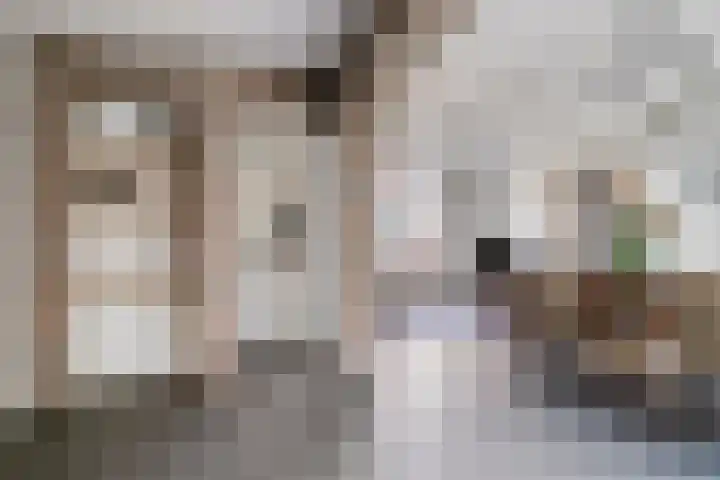 Condensatorstraat 7 Eindhoven thumbnail 10