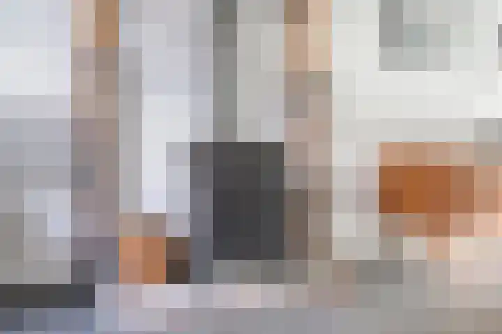 Condensatorstraat 7 Eindhoven thumbnail 17
