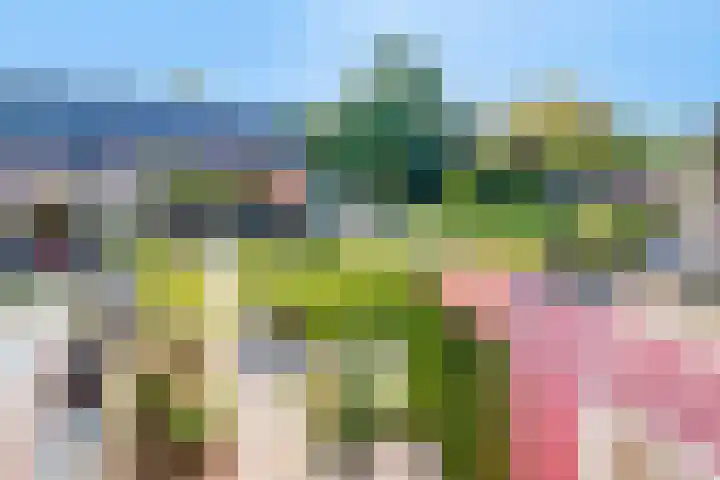 Condensatorstraat 7 Eindhoven thumbnail 26