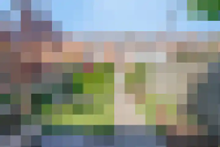 Condensatorstraat 7 Eindhoven thumbnail 27
