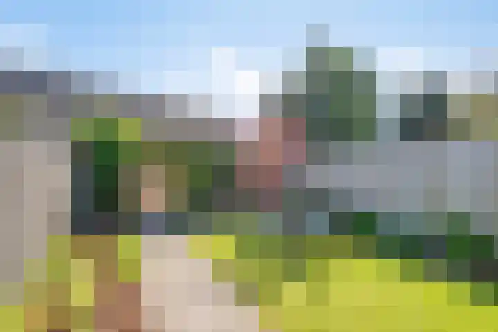 Condensatorstraat 7 Eindhoven thumbnail 29
